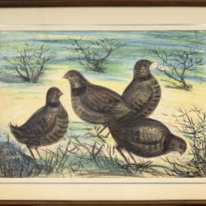 The partridges (Kabk ha)