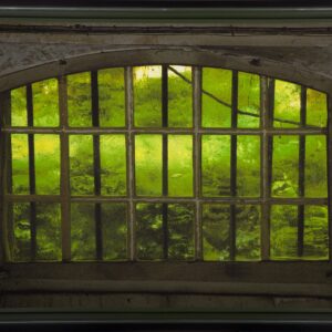 Abbas Kiarostami